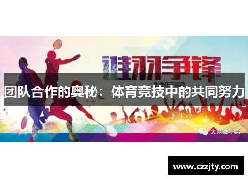团队合作的奥秘：体育竞技中的共同努力